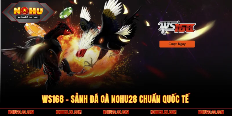 WS168 – Sảnh đá gà NOHU28 chuẩn quốc tế